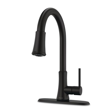 Pfister Classic Single Handle Pulldown Kitchen Faucet, Matte Black