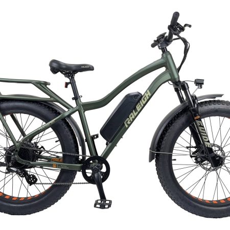 Raleigh Quanta Electric Bicycle, 26-in, Green