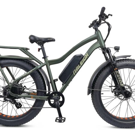 Raleigh Quanta Electric Bicycle, 26-in, Green