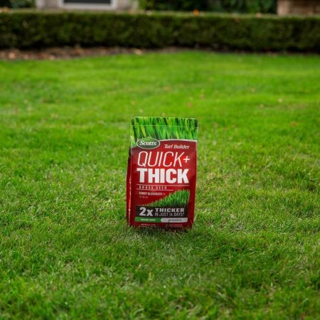 Scotts Turf Builder Quick + Thick™ Sun Grass Seed & Fertilizer Mix, 1.2-kg