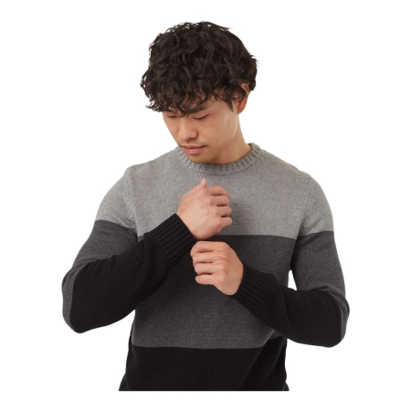 Tentree Men's Highline Blocked Crew Sweater