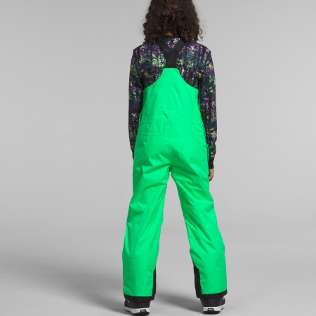 The North Face Boys' Freedom Bib Insulated Pants