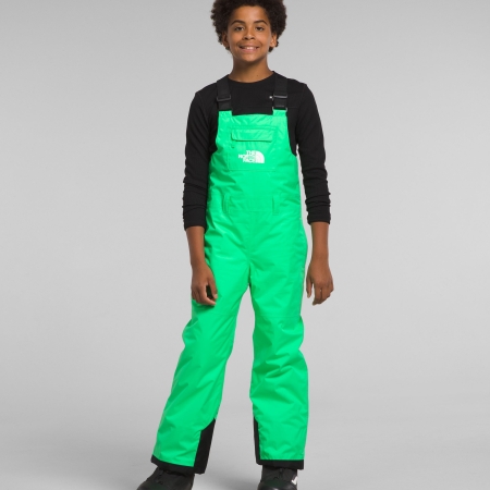 The North Face Boys' Freedom Bib Insulated Pants