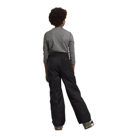 The North Face Boys' Freedom Insulated Pants