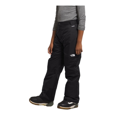 The North Face Boys' Freedom Insulated Pants