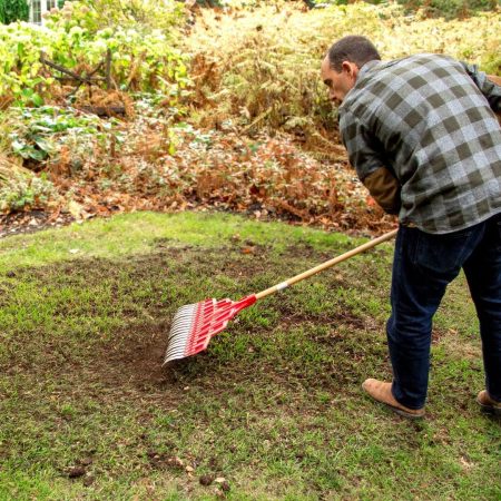 Scotts Turf Builder Quick + Thick™ Sun & Shade Grass Seed & Fertilizer Mix, 1.2-kg