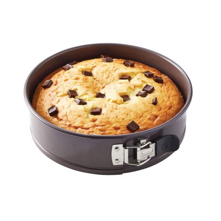 Vida by PADERNO Non-Stick Springform Cake Pan, 9-in