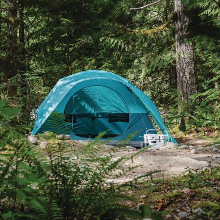 Woods Creekside 3-Season, 6-Person Camping Dome Tent w/ Canopy/Awning, Rain Fly & Carry Bag