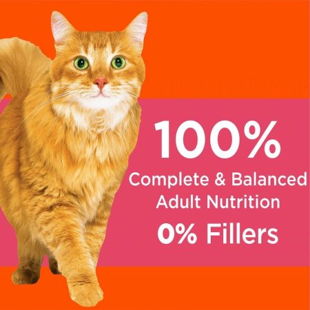 IAMS Proactive Health Adult Dry Cat Food with Salmon, 3.2-kg