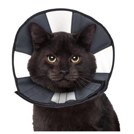 ZenCone Soft Recovery Collar