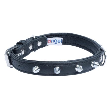 Rotterdam Dog Collar Leather Spiked Midnight Black