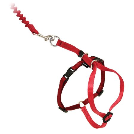 Come With Me Kitty Adjustable Nylon Cat Harness and Bungee Leash Red