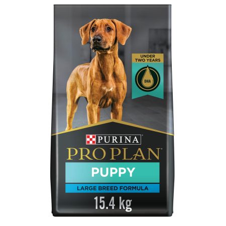 Development Chicken & Rice Formula Large Breed Puppy Dog Food