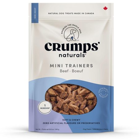 Mini Trainers Beef Dog Treats