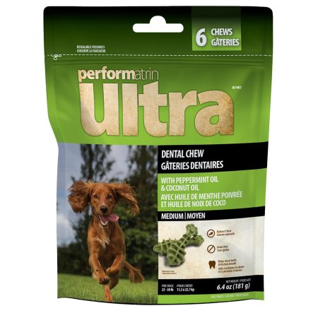 Mint Dental Chew Medium Dog Treats