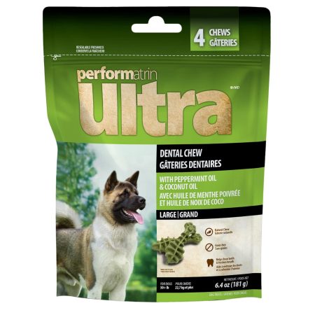 Mint Dental Chew Large Dog Treats