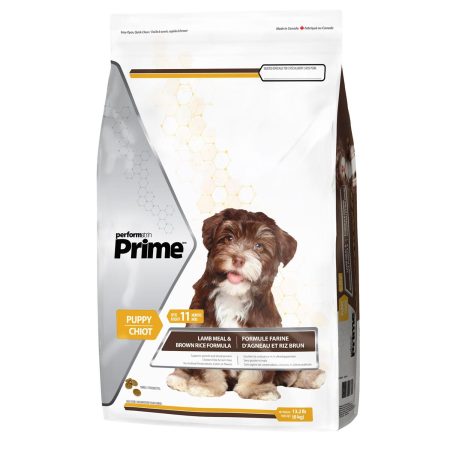 Lamb Meal & Brown Rice Formula Puppy Dog Food