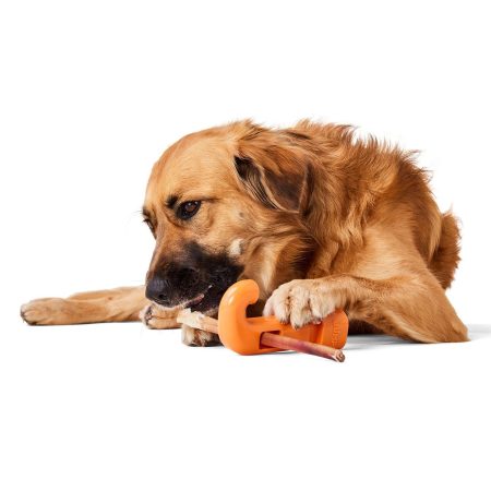 Bully Stick Holder Dog Toy