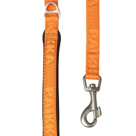 Visibility Dog Leash Orange