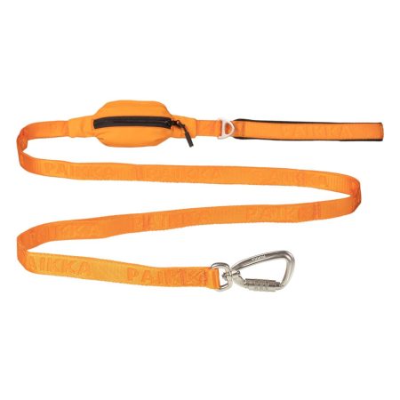 Visibility Dog Leash Orange