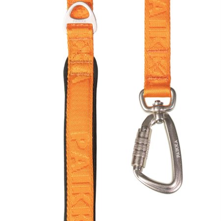 Visibility Dog Leash Orange