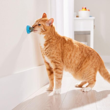 Catnip Ball with Holder Cat Toy