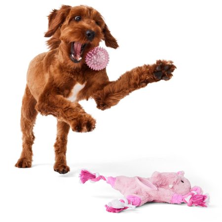 Elephant Pink Rope with Ball Dog Toy