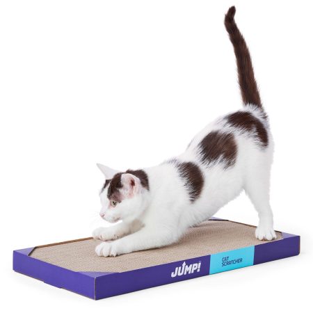 Double Flat Cat Scratcher