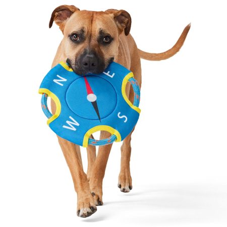 Compass Blue Flyer Dog Toy