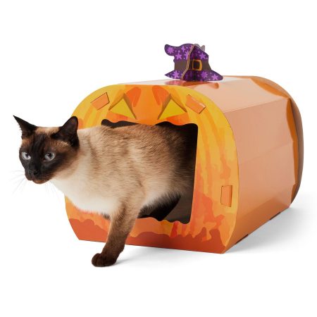 Jack-O-Lantern Halloween Cat Scratcher