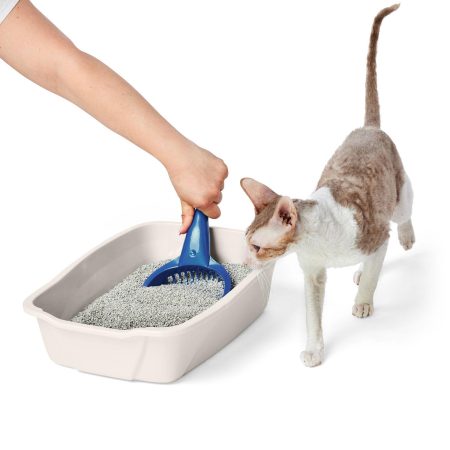 Beige Litter Pan