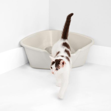 High Corner Beige Litter Pan