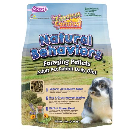 Tropical Carnival Natural Behaviors Foraging Pellets Adult Rabbit Food