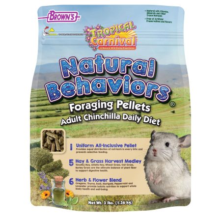 Tropical Carnival Natural Behaviors Foraging Pellets Adult Chinchilla Food