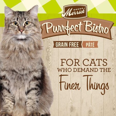 Purrfect Bistro Turkey Pate Recipe Cat Food