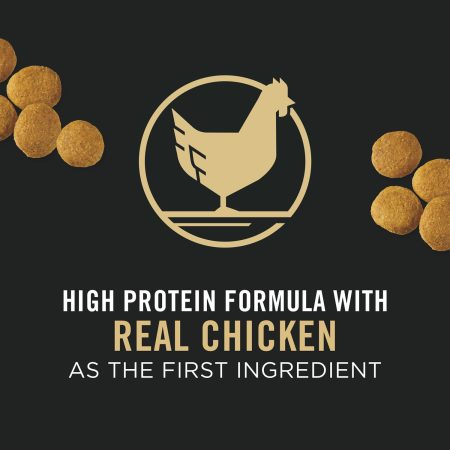 Development Chicken & Rice Formula Puppy Dog Food