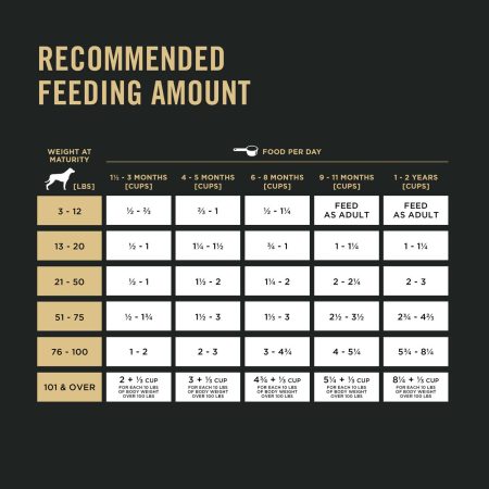 Development Chicken & Rice Formula Puppy Dog Food