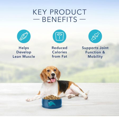 Life Protection Formula Healthy Weight Chicken & Brown Rice Recipe Adult Dog Food