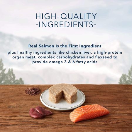 Wilderness Grain Free Salmon Recipe Adult Cat Food