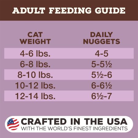 Freeze-Dried Nuggets Turkey Formula Cat Food