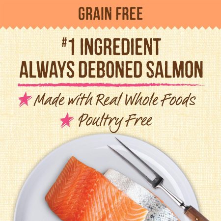 Lil' Plates Real Salmon + Sweet Potato Recipe Small Breed Adult Dog Food