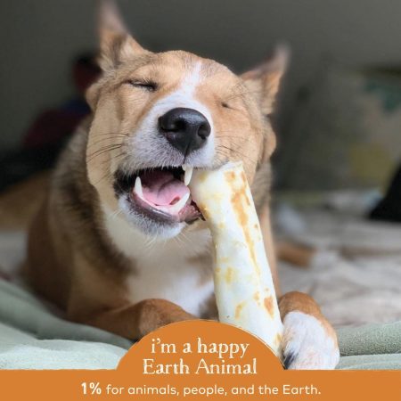 No-Hide Cage-Free Chicken Natural Rawhide Alternative Dog Chew