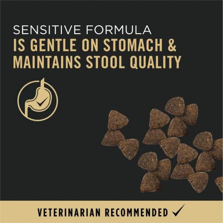 Specialized Sensitive Skin & Stomach Salmon & Rice Formula Adult Dog Food