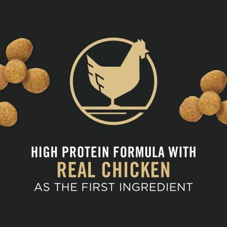 Development Chicken & Rice Formula Large Breed Puppy Dog Food