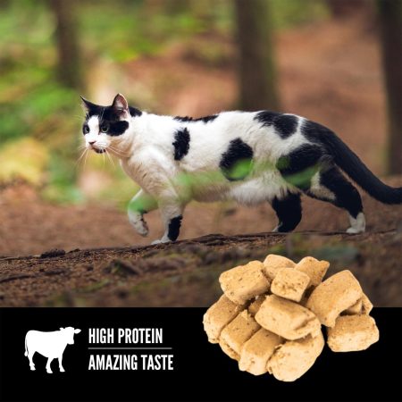 Regional Red Freeze-Dried Cat Treats