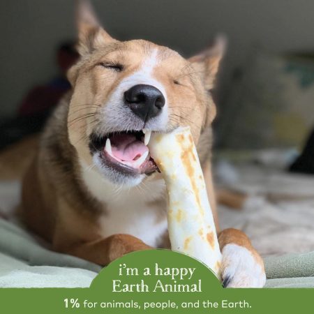 No-Hide Humanely-Raised Pork Natural Rawhide Alternative Dog Chew