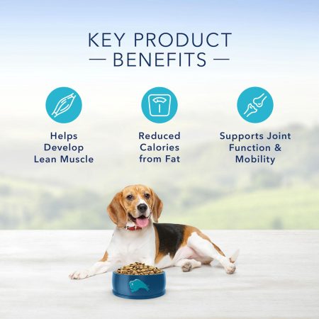 Life Protection Formula Healthy Weight Chicken & Brown Rice Recipe Large Breed Adult Dog Food