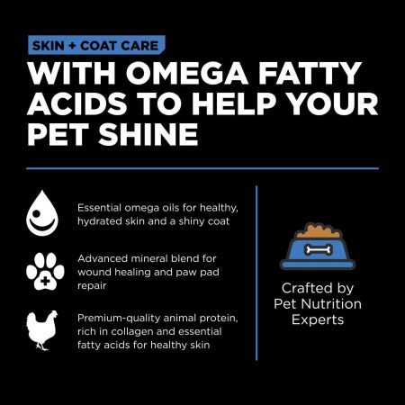 Skin + Coat Care Chicken With Grains Recipe Dog Food