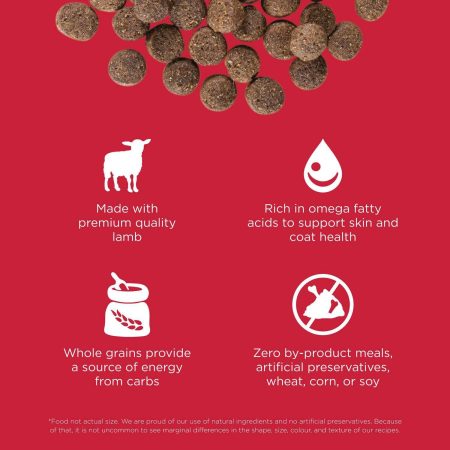 Skin + Coat Care Lamb With Grains Recipe Dog Food