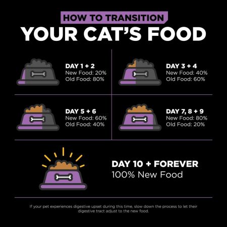 Carnivore Grain-Free Chicken, Turkey + Duck Recipe Cat Food